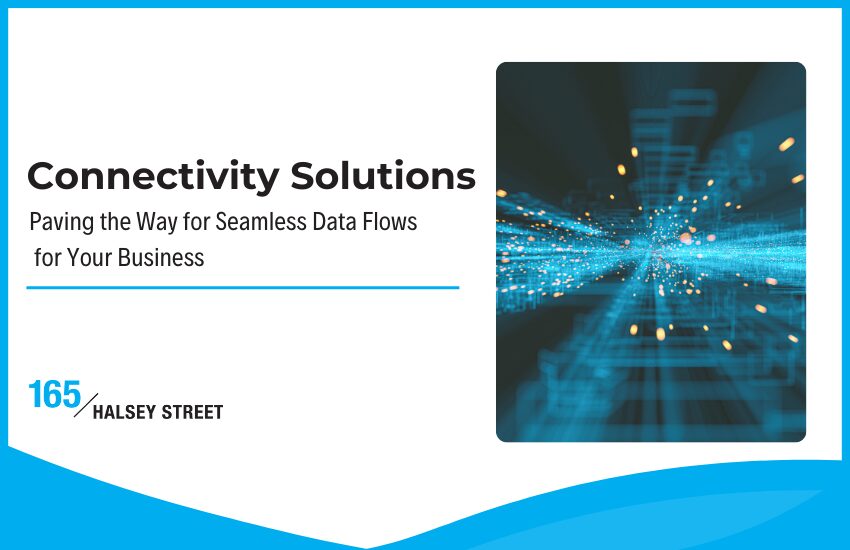 Connectivity Solutions: Paving the Way for Seamless Data Flows for Your Business